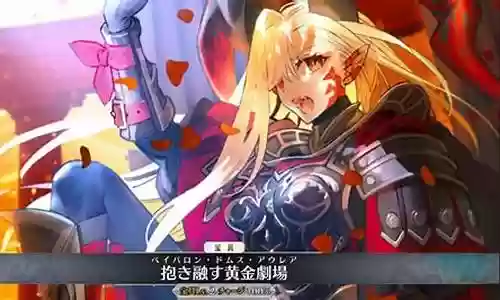 fgo小黑阵容搭配插图
