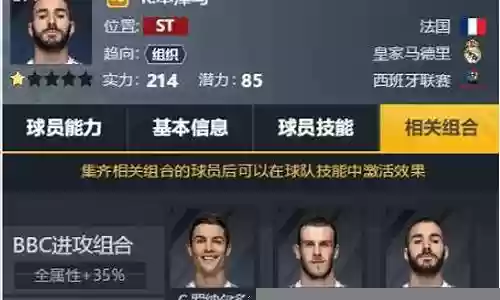 冠军阵容搭配什么好插图