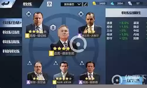 车队阵容搭配推荐软件插图