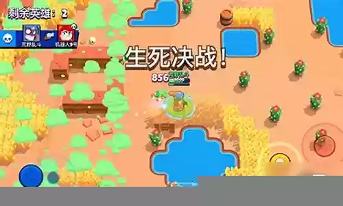 双人荒野最强阵容搭配图插图