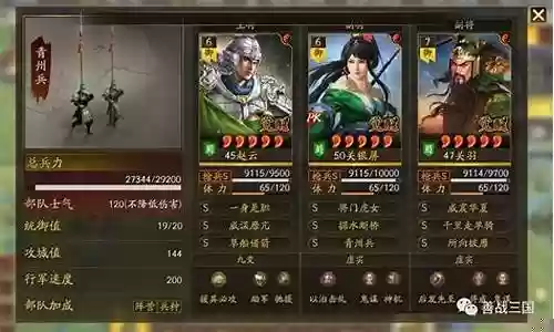 赵云震慑枪阵容搭配图插图