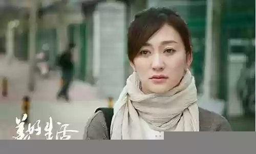 美好生活阵容搭配插图