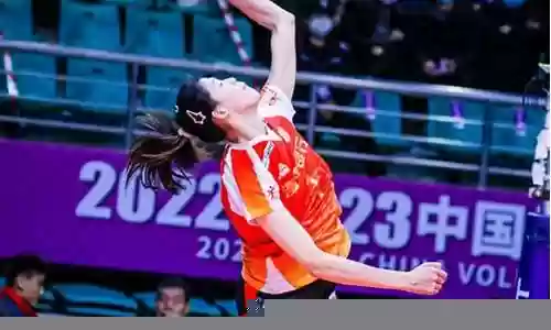 李盈莹搭配什么阵容插图