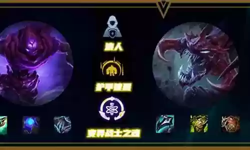 变异战士的阵容装备插图