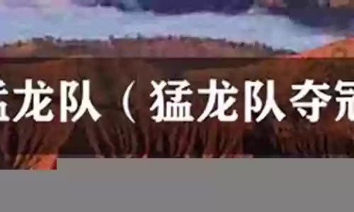 猛龙队阵容2009插图