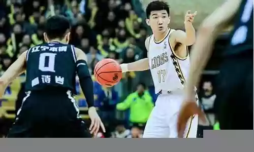 广厦男篮 阵容情况插图