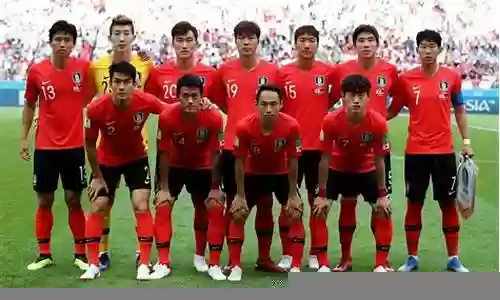 韩国队埃及阵容插图
