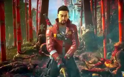 影子武士技能搭配攻略插图1