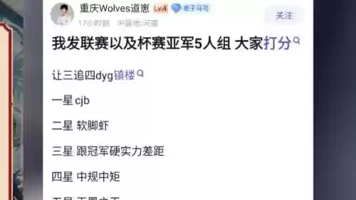 亚军阵容打分插图
