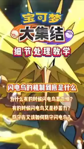 闪电鸟的技能什么时候学插图