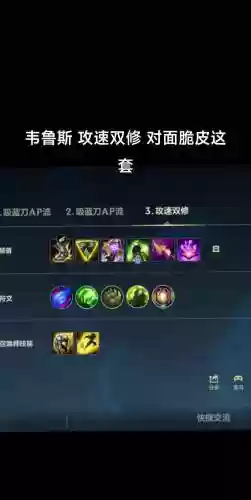 韦鲁斯攻速流技能加点插图