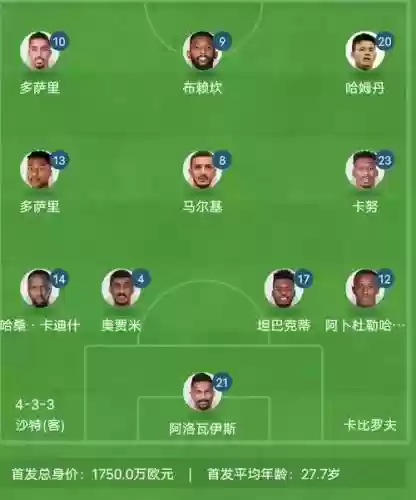 沙特阵容插图