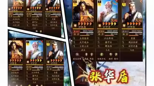 华佗阵容分布插图