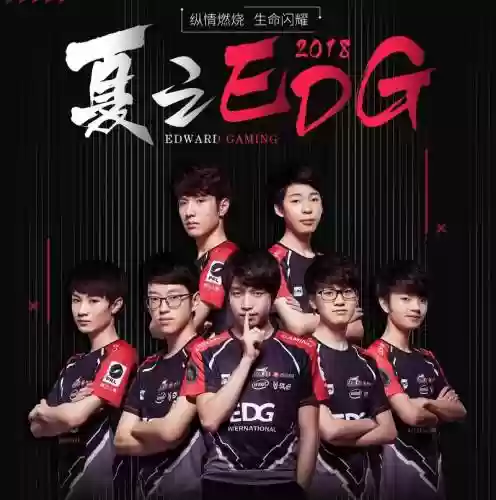 edj阵容插图
