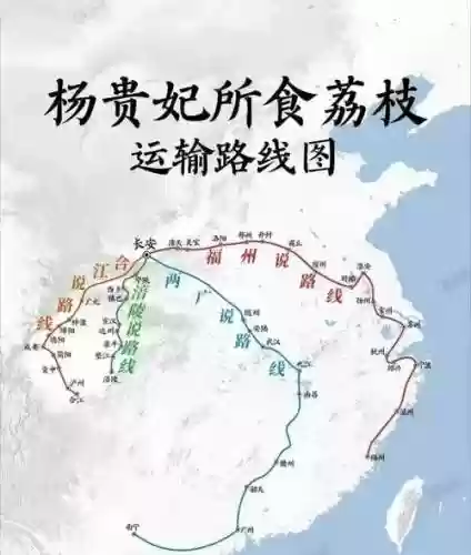 长安阵容转型插图