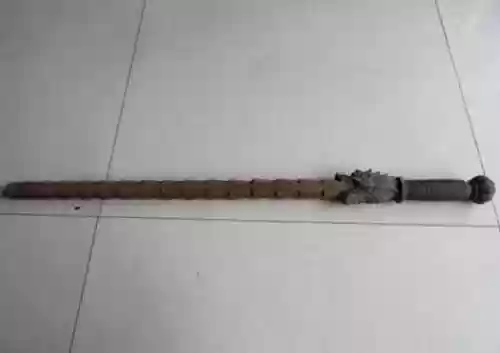 龙鞭武器图片插图