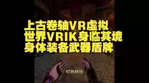 身临其境的武器重制版插图1
