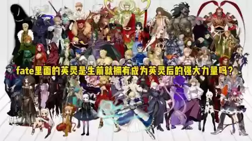 fate阵容介绍插图