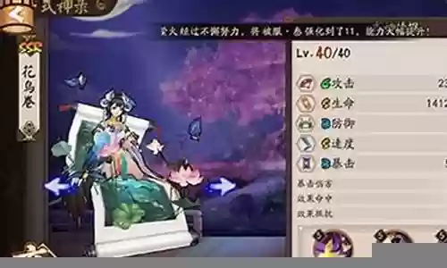 针女花鸟卷搭配什么阵容插图