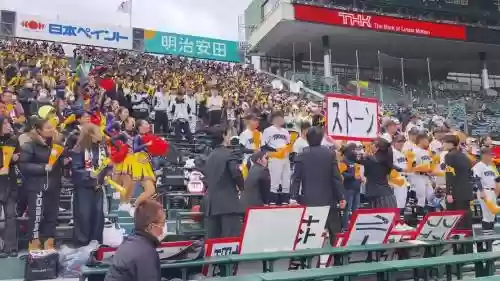 横滨大学阵容插图1