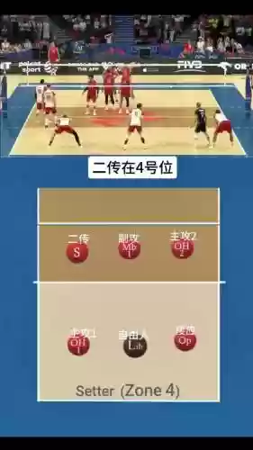 排球阵容介绍插图1