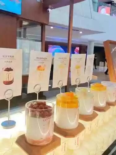 双奶皮阵容插图