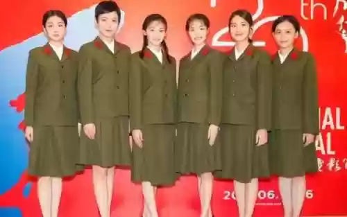 电影芳华阵容插图