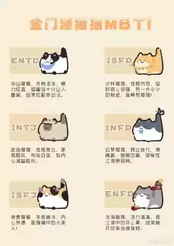 玉猫猫阵容插图