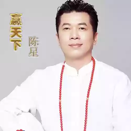 陈星阵容搭配插图1