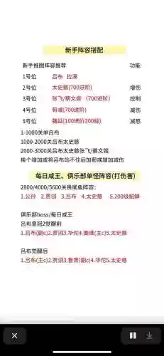 闲王阵容_1插图