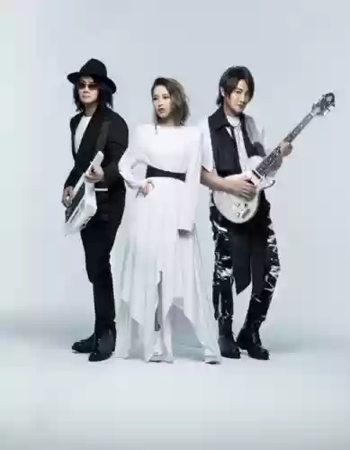 飞乐队阵容插图