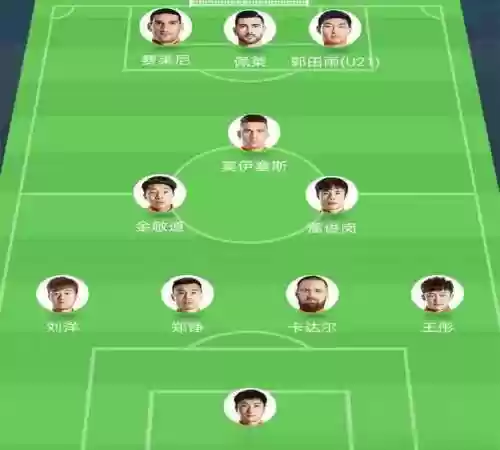 鲁能433阵容插图