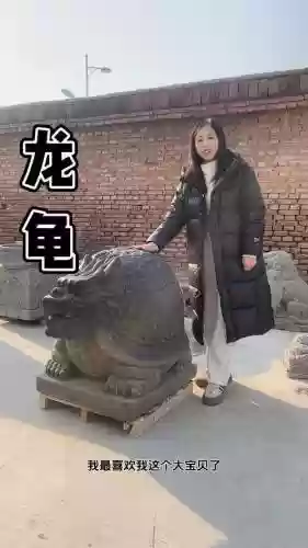 龙龟的w技能是护盾吗插图1