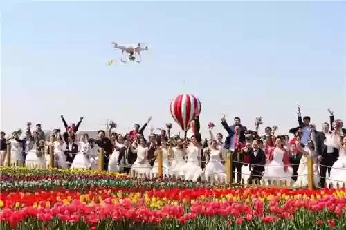 花海阵容2019插图