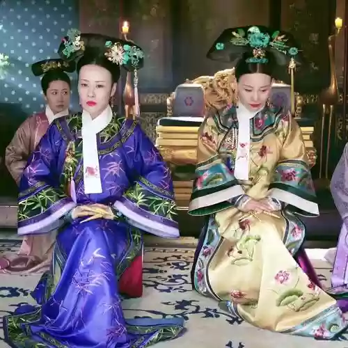 熹贵妃阵容插图