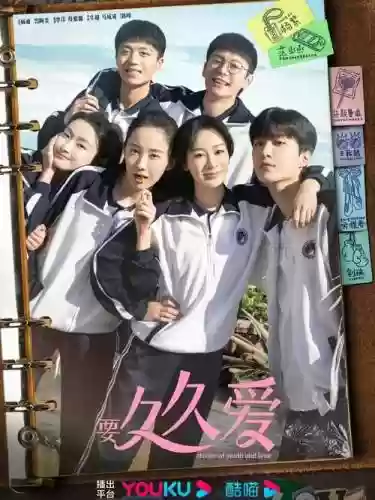 199爱阵容插图
