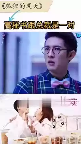 高秘书阵容插图1