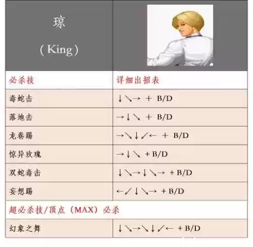 98拳皇传记攻略龙虎插图1