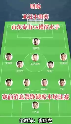 鲁能433阵容插图1