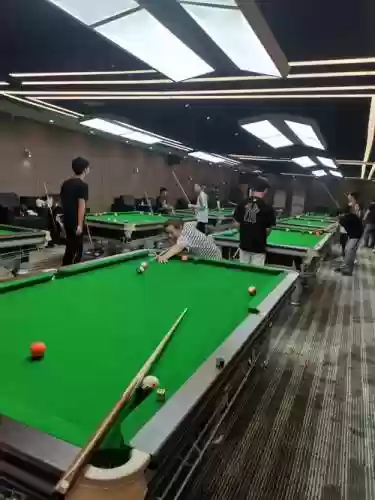 台球豪华阵容插图1