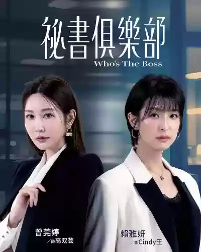 高秘书阵容插图