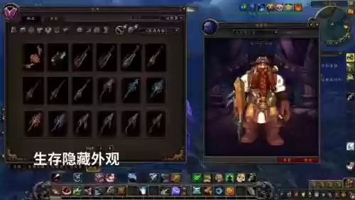 魔兽世界猎人武器隐藏外观插图