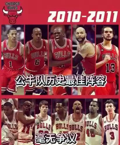 公牛阵容数据插图