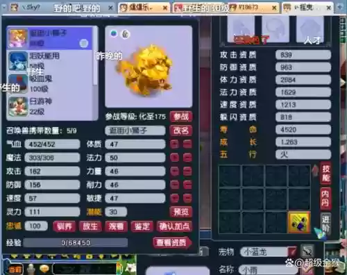 梦幻西游超级金猴进阶_1插图