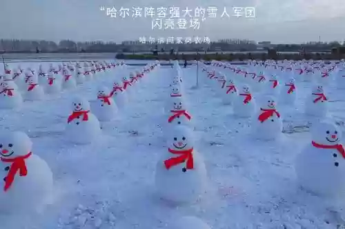 雪人传奇阵容插图1
