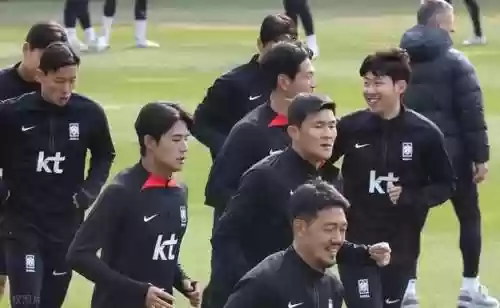 韩国阵容培训插图
