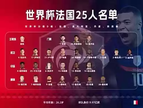 法国金砖阵容插图1