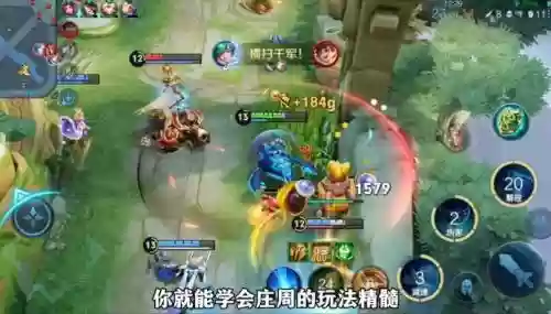 庄周阵容破坏插图1