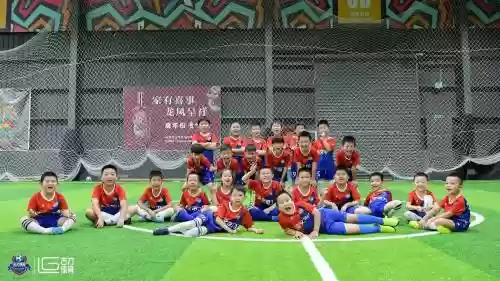 草坪足球阵容插图