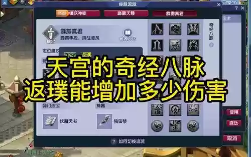 梦幻西游69力天机奇经八脉插图